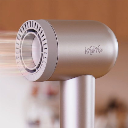 (Wizwise）Hair dryer